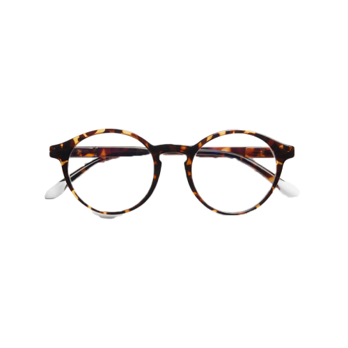 Barner Le Marias Glossy Screen Glasses - Tortoise